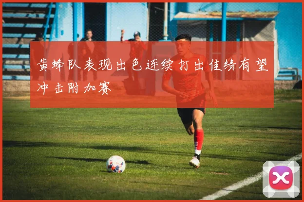 黄蜂队表现出色连续打出佳绩有望冲击附加赛